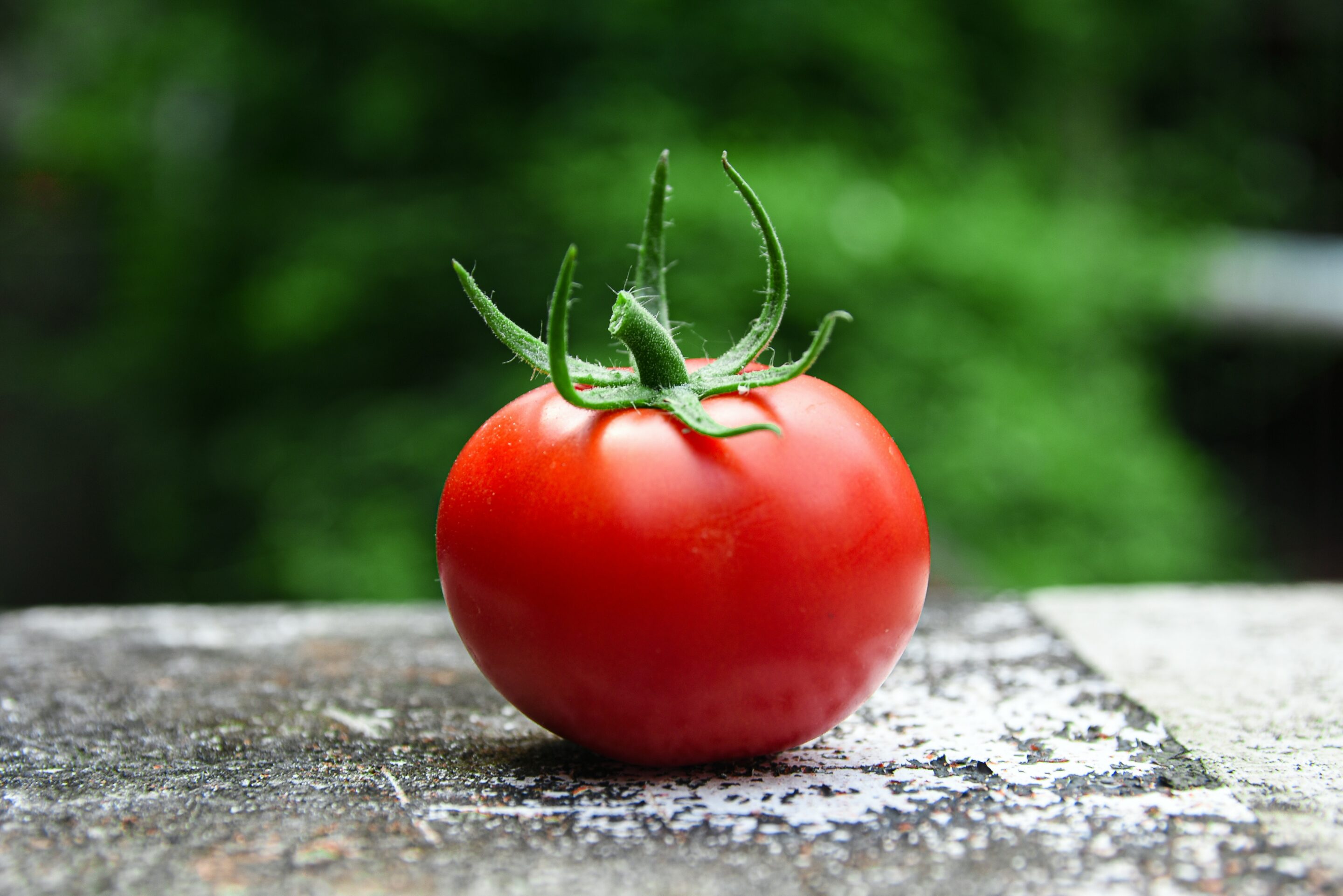 How To Dice a Tomato | Cooking with the Kriks
