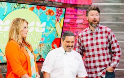 Chocolate-Covered Strawberries with Cheesecake Recipe Featured on THV11’s The Vine Show