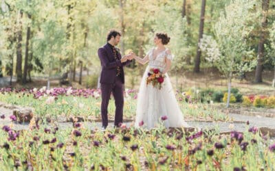 An Eclipse Weekend Wedding in Hot Springs, Arkansas