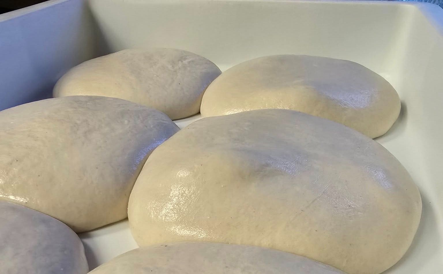 Several smooth, round balls of pizza dough are resting and rising in a white container, showing a glossy and slightly puffy surface.