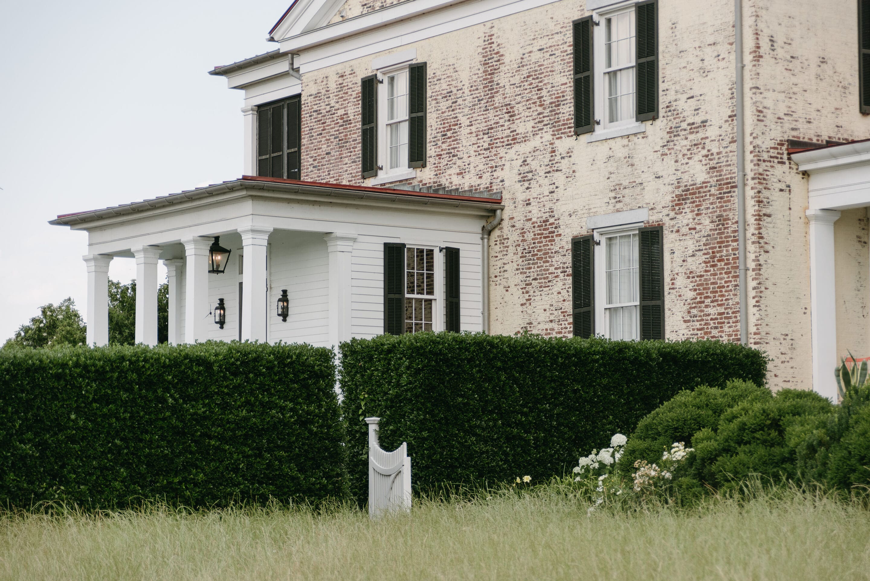 A historic brick house with black shutters and a white porch is partially hidden behind neatly trimmed green hedges, with tall grass and white flowers in the foreground.