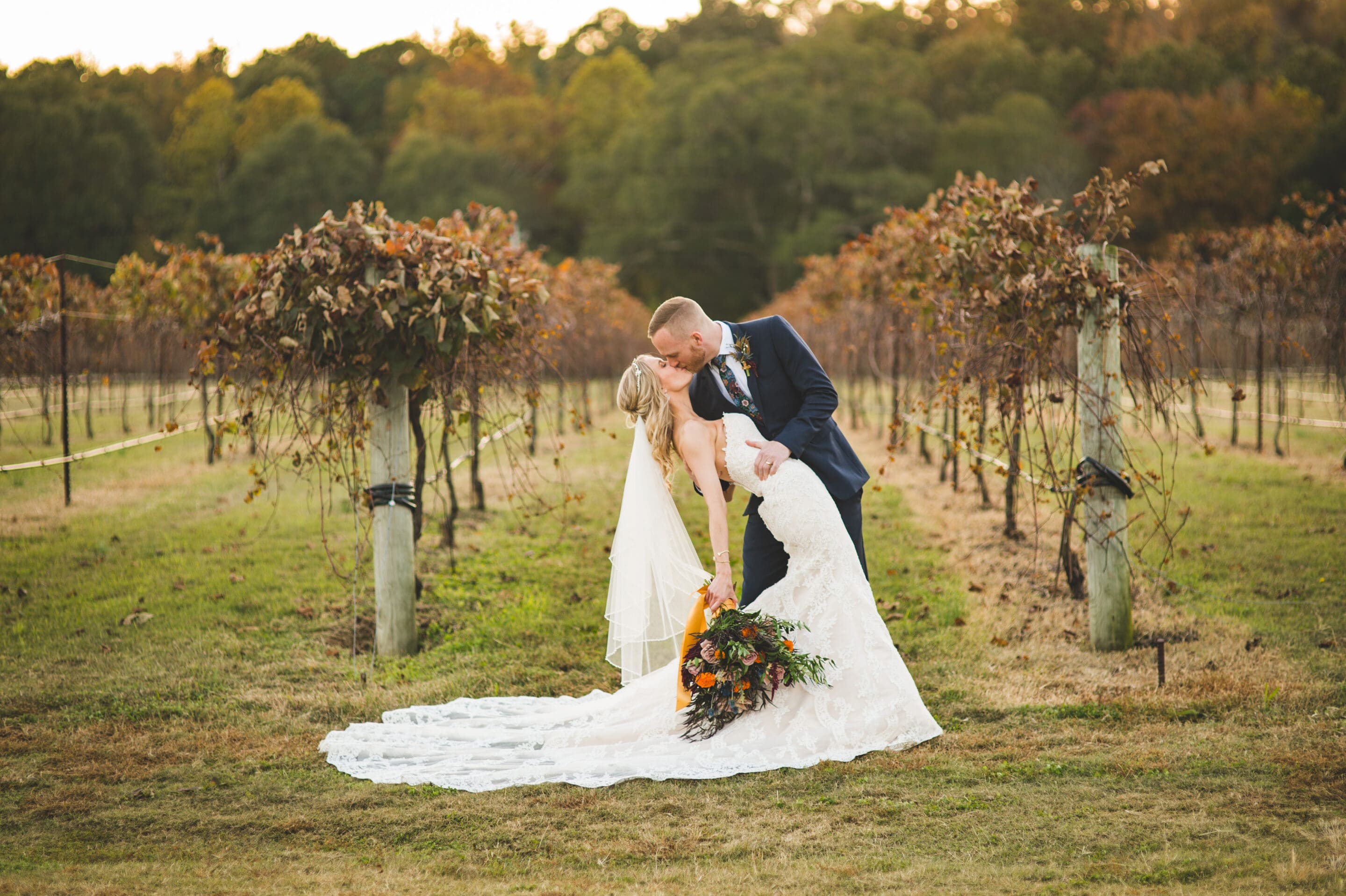 A bride and groom kiss as he dips her in a vineyard, surrounded by rows of grapevines. The bride holds a colorful bouquet and wears a white lace dress with a long train; the groom wears a navy suit.